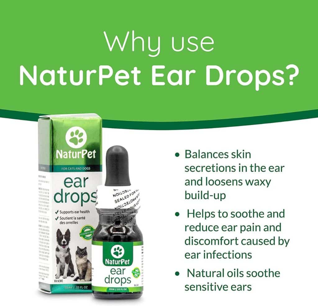7 Best Maine Coon Ear Drops (For Infections and Wax)