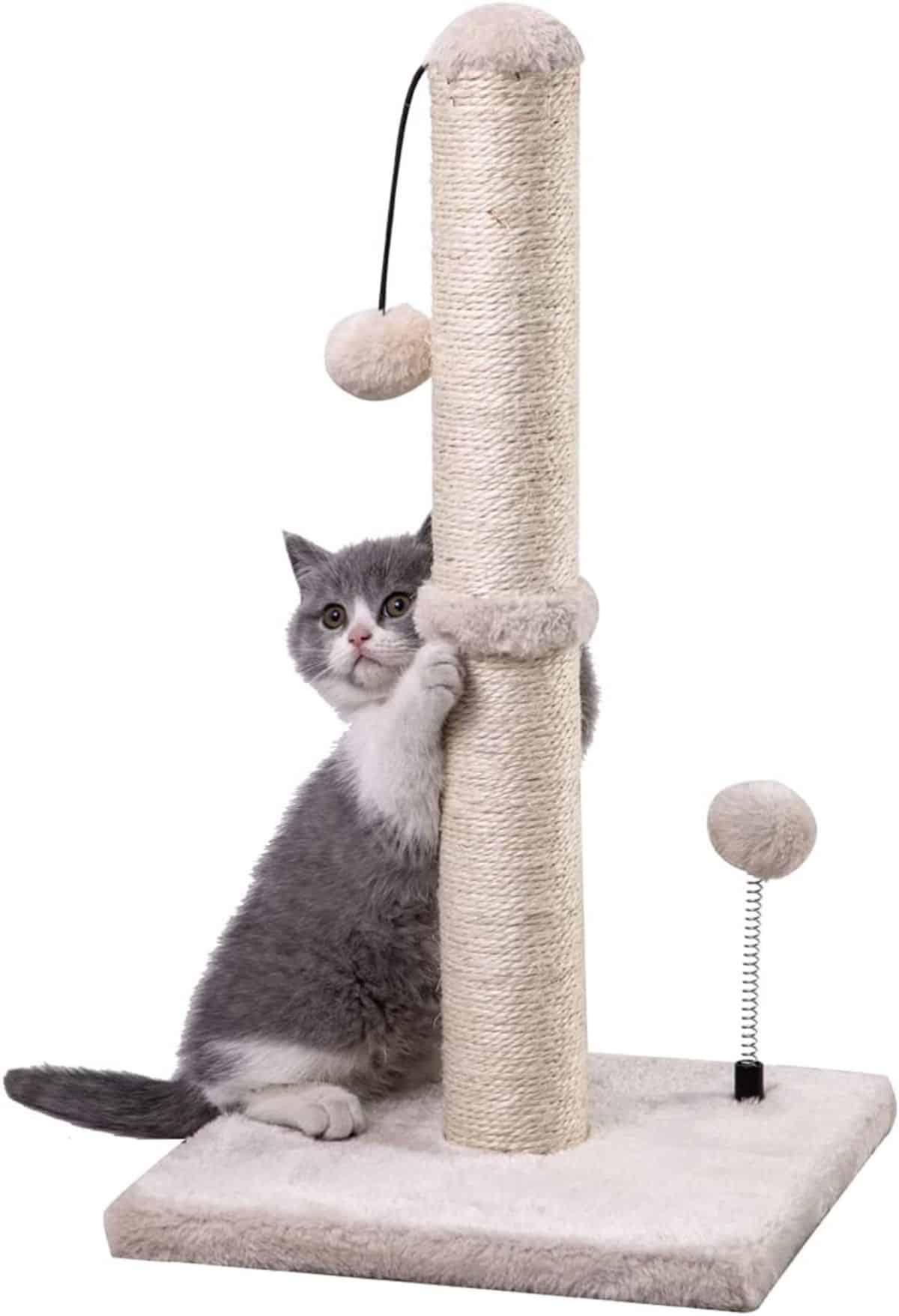 MECOOL Cat Scratching Post Premium Basics