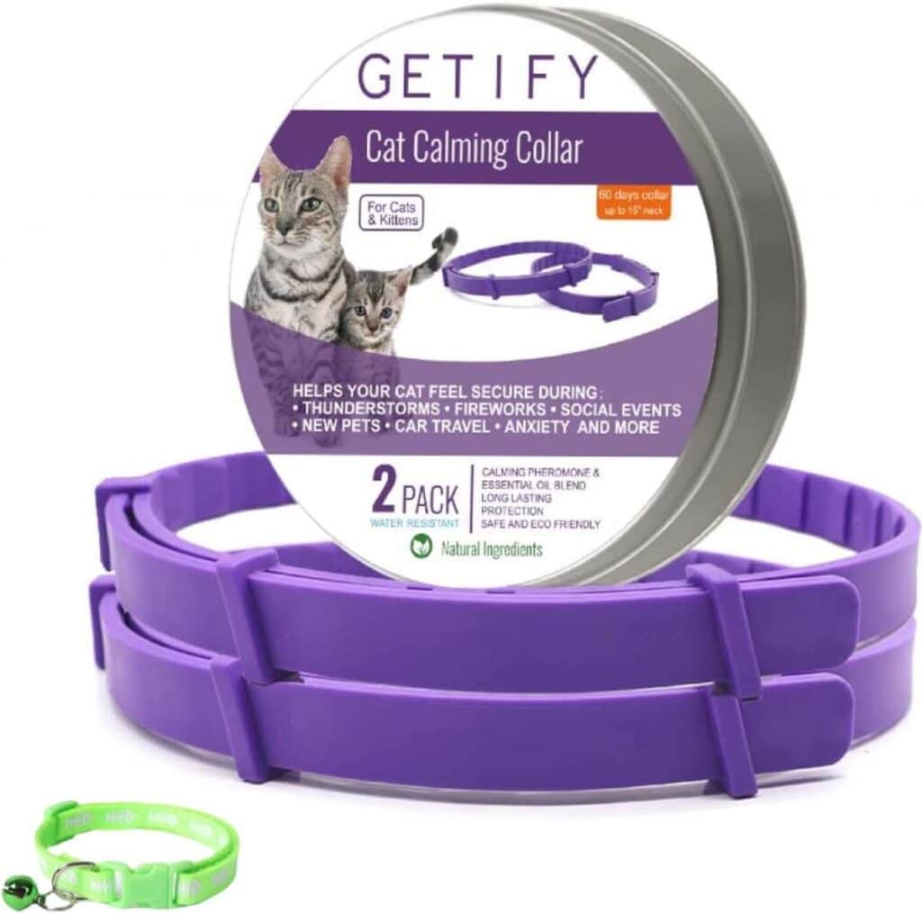 The 11 Best Collars to Calm Stressed Cats