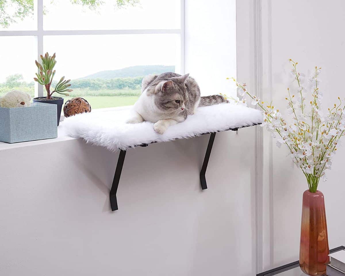 Sweetgo Window Perch for Cats