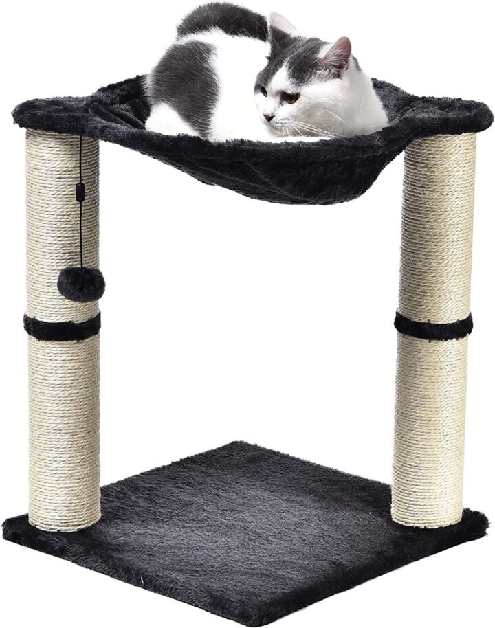 11 Best Maine Coon Scratching Posts
