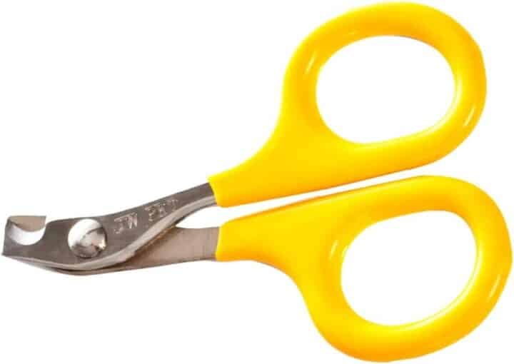 7 Best Nail Clippers for Maine Coon Cats (Vet Approved)