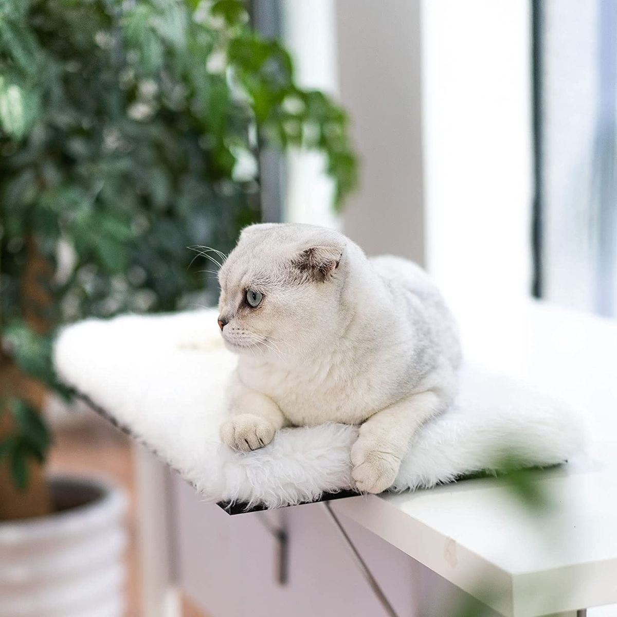 Topmart Window Sill Cat Perch