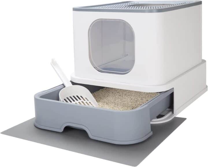 13 Best Litter Boxes for Maine Coons (Cat Tested!)