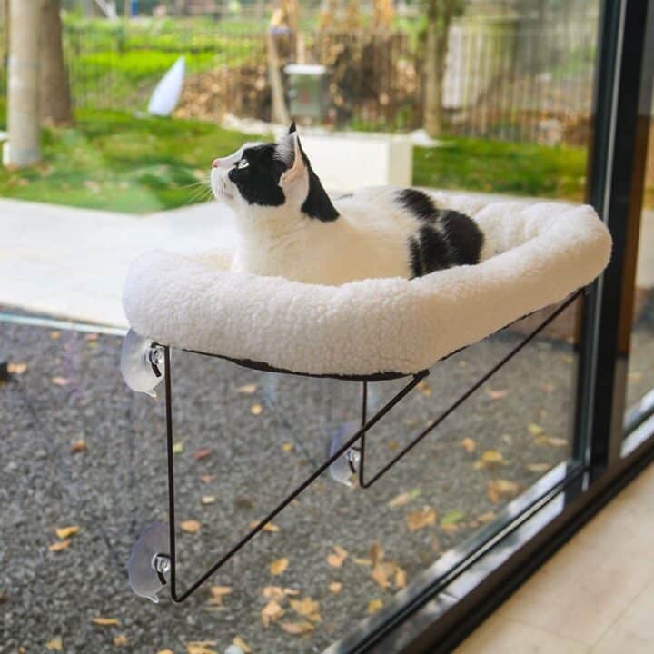 11 Cat Window Perches Your Cat Will Love