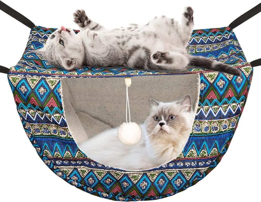7 Window Hammocks for Your Curious Cat