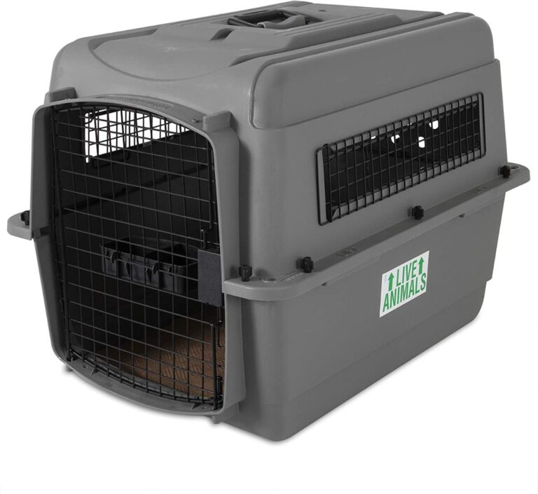11 Best Pet Carriers For Maine Coons (Cat Tested!)