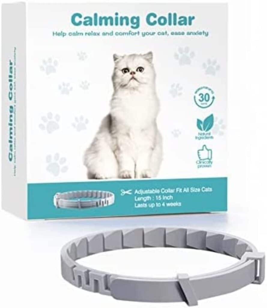 The 11 Best Collars to Calm Stressed Cats