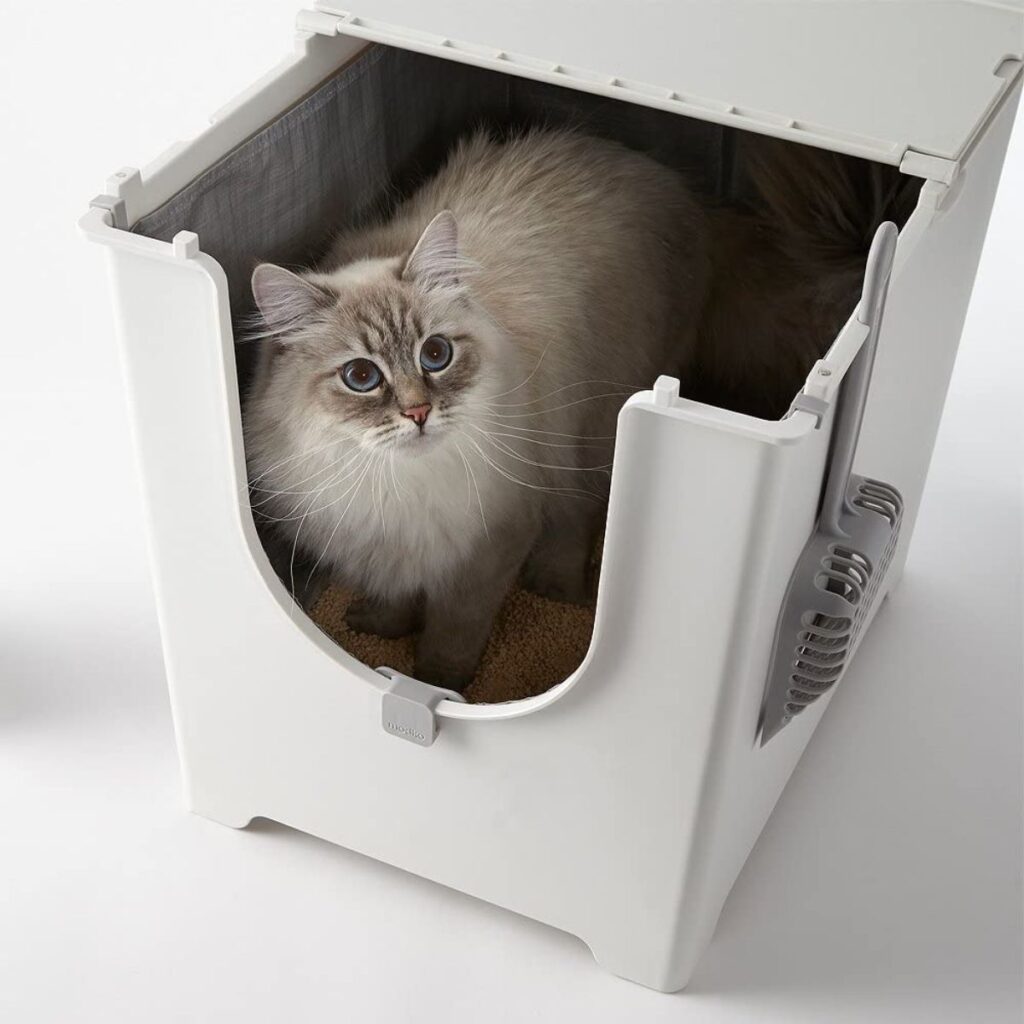 13 Best Litter Boxes for Maine Coons (Cat Tested!)