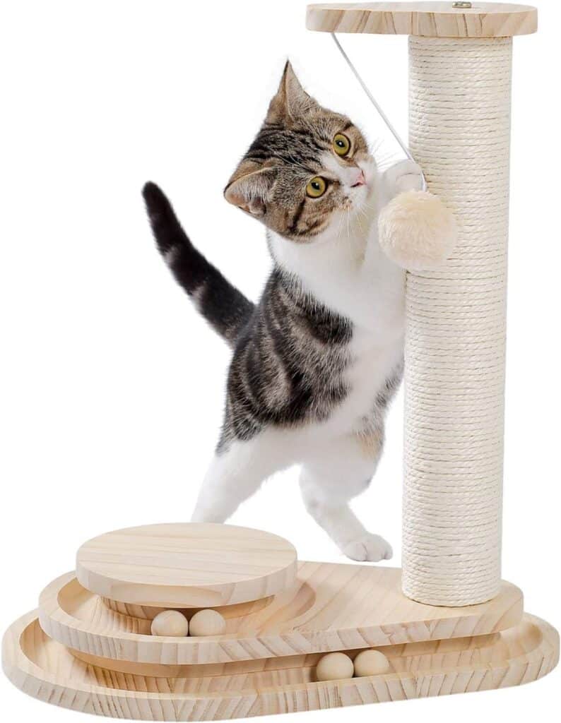11 Best Maine Coon Scratching Posts