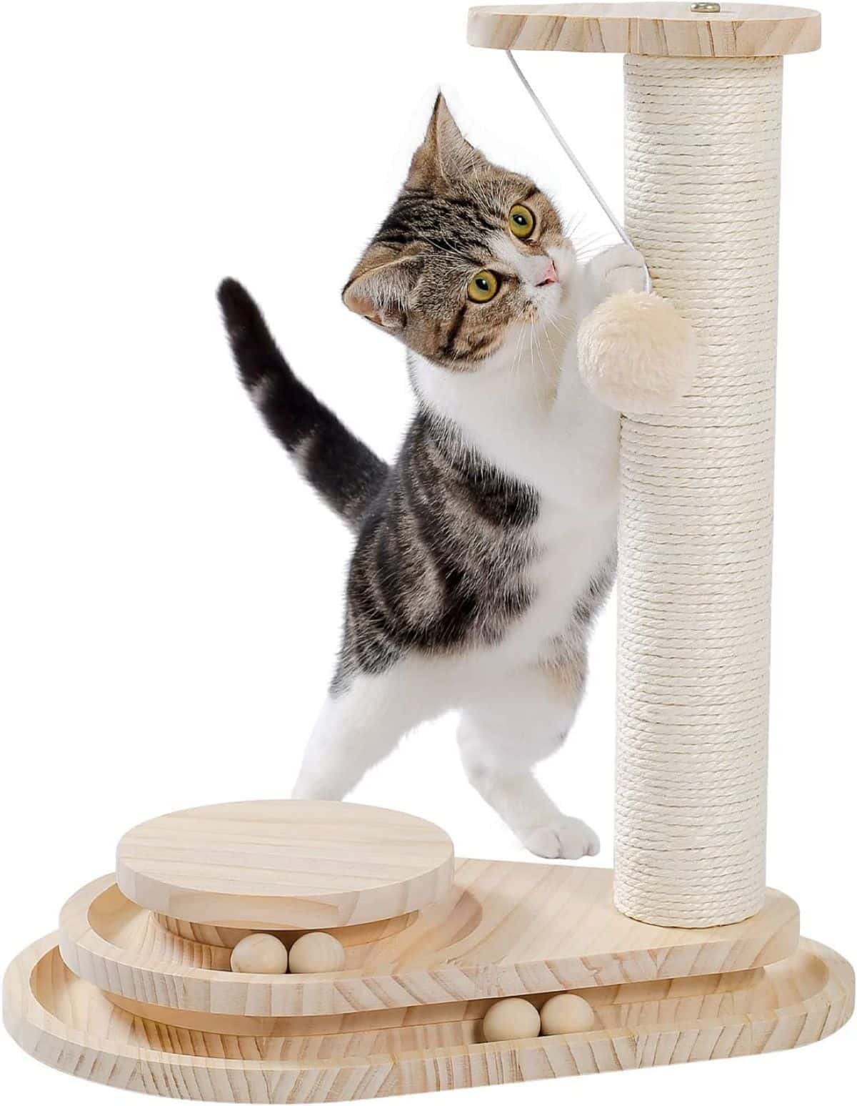  MECOOL Cat Scratching Post Premium Basics Kitten Scratcher  Sisal Scratch Posts with Hanging Ball 22 for Kittens or Smaller Cats (22  inches for Kitten, Gray) : Pet Supplies