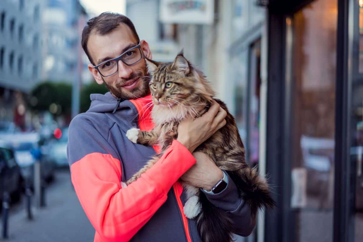 A man with glasses holding an adorable maine coon in public.