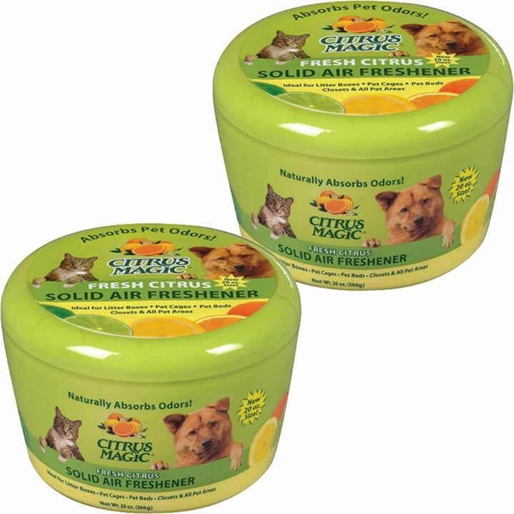 7 Best Air Fresheners for Cats (Safe & Fresh) - MaineCoon.org
