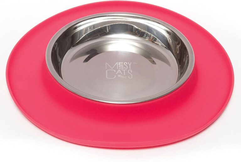 7 Best Food Bowls For Cats For Messy Eaters