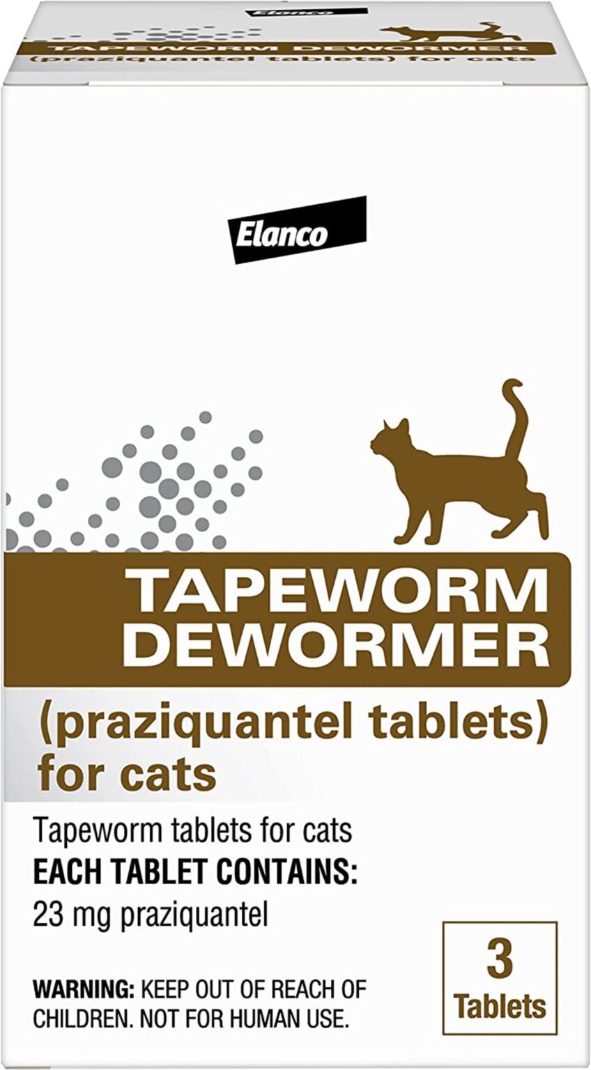 The 5 Best Dewormer Options for Cats without a Vet Prescription