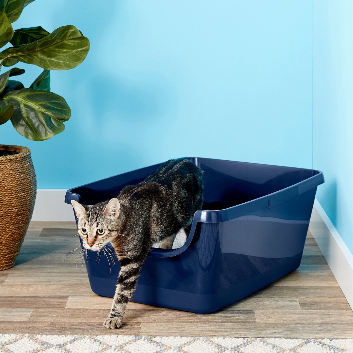 Frisco High-Sided Cat Litter Box