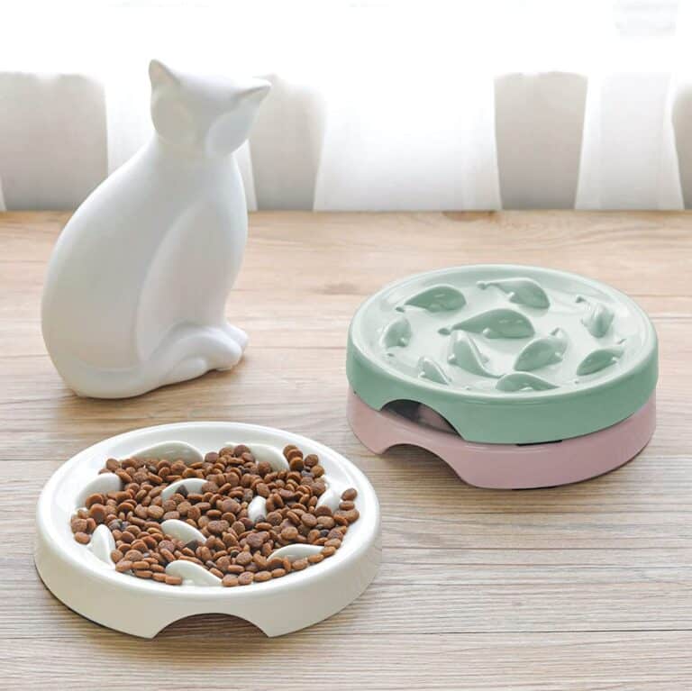The 7 Best Slow Feeders For Cats (According To Pet Experts)