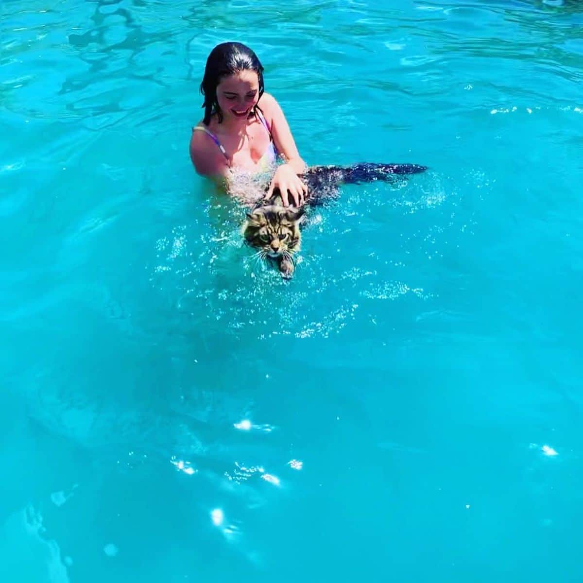 A tabby maine coon and a young woman swimming in a pool.