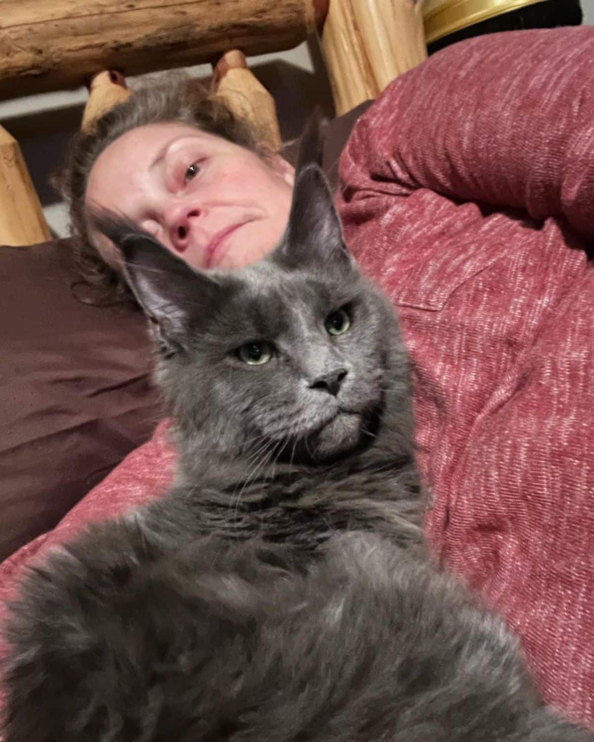 A woman and her black maine coon lying on a couch.