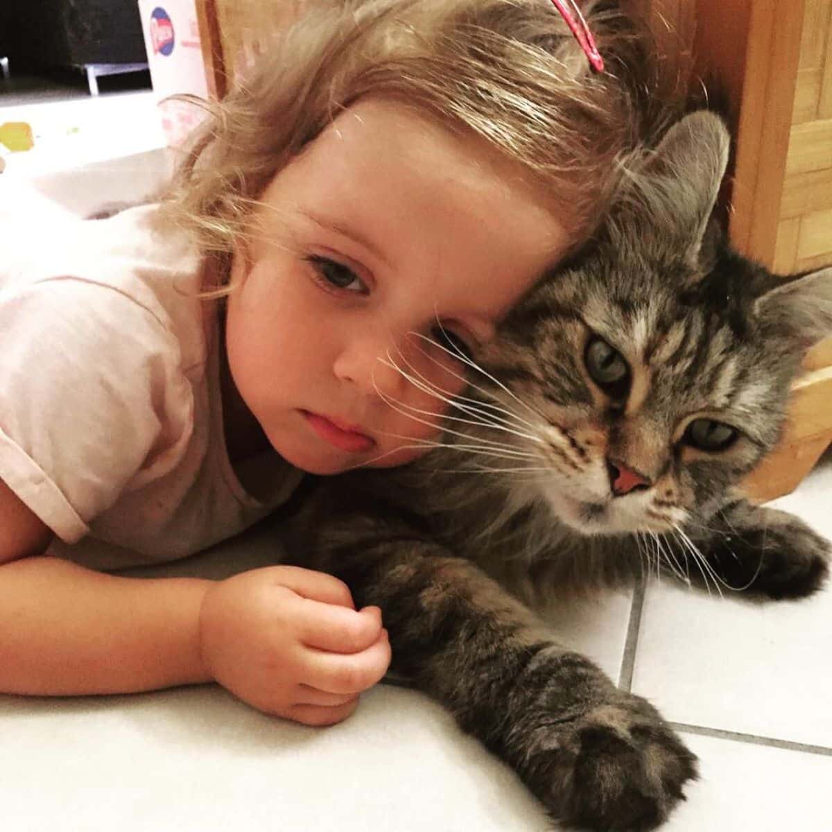 A young girl cuddling with a tabby maine coon on a floor.