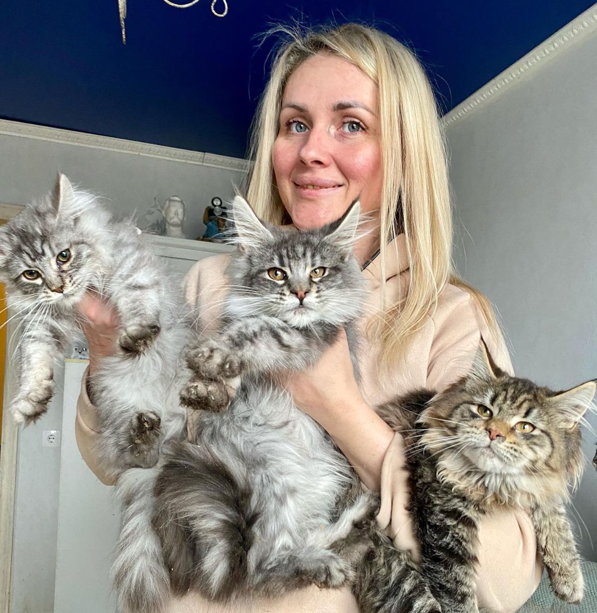 A young woman holding three cute maine coon kittens.