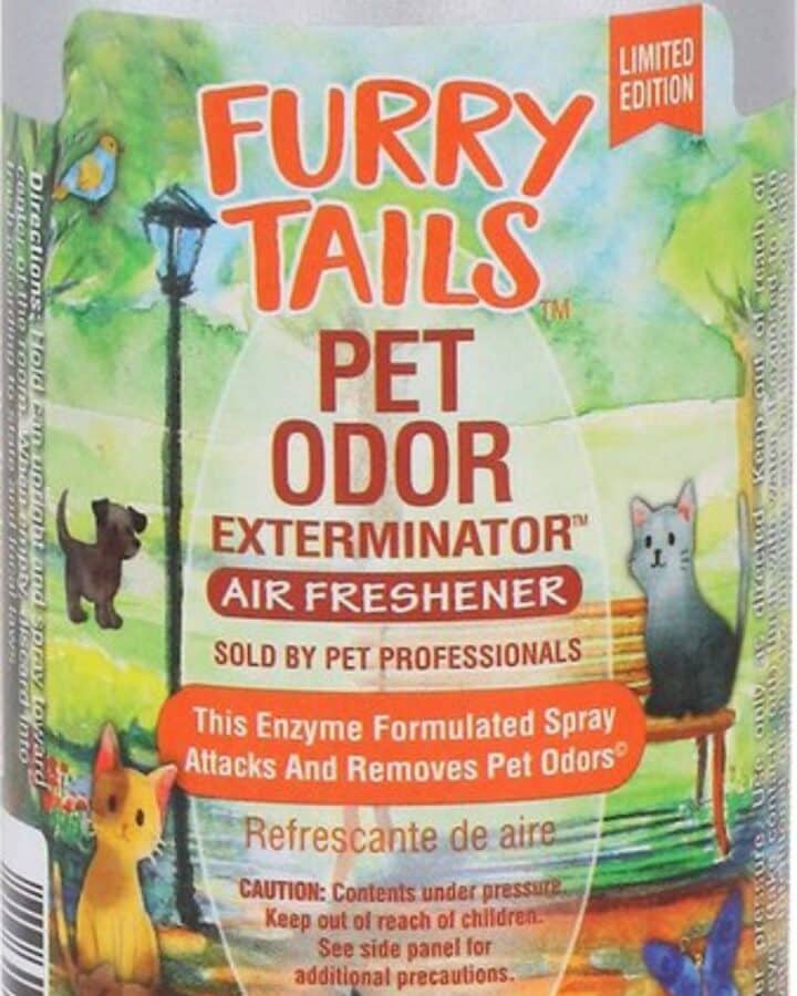 7 Best Air Fresheners for Cats (Safe & Fresh)