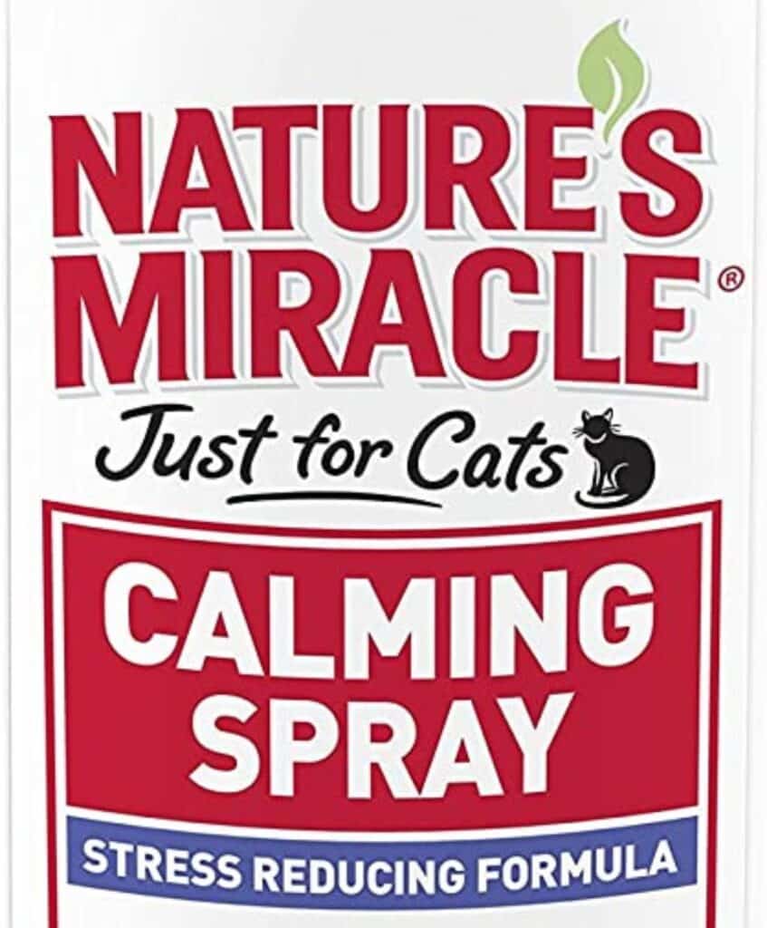 17 Calming Aids for Cats (Vet & Pet Approved)