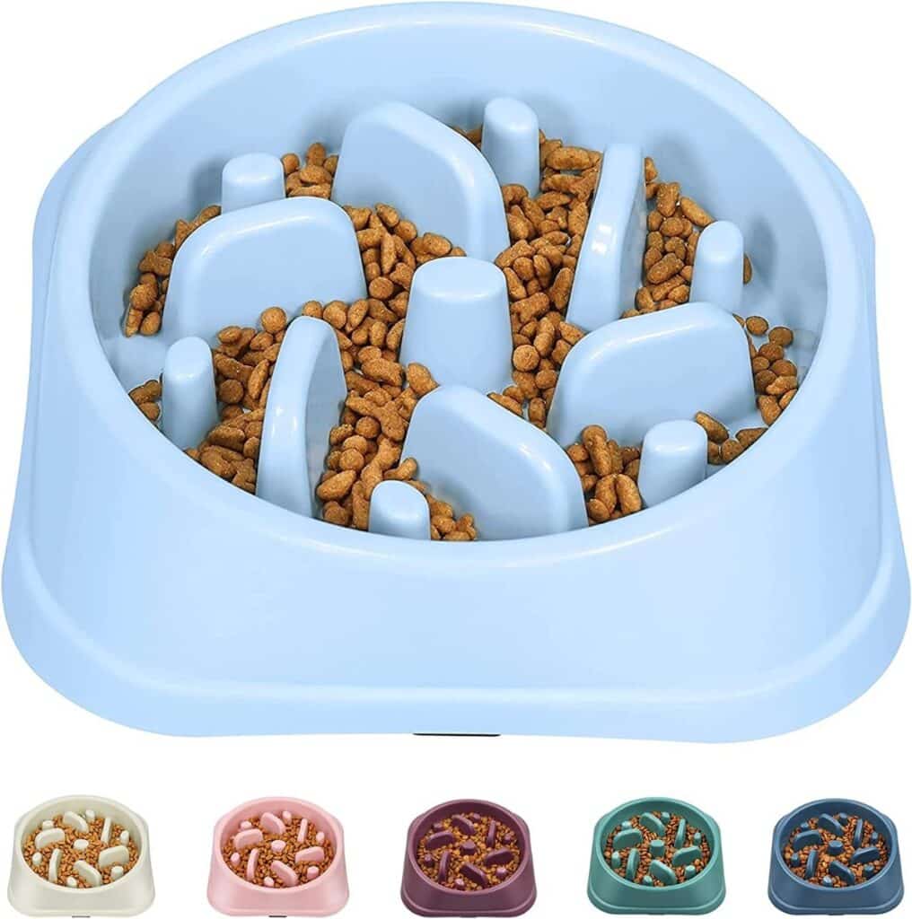 The 7 Best Slow Feeders For Cats (According To Pet Experts)