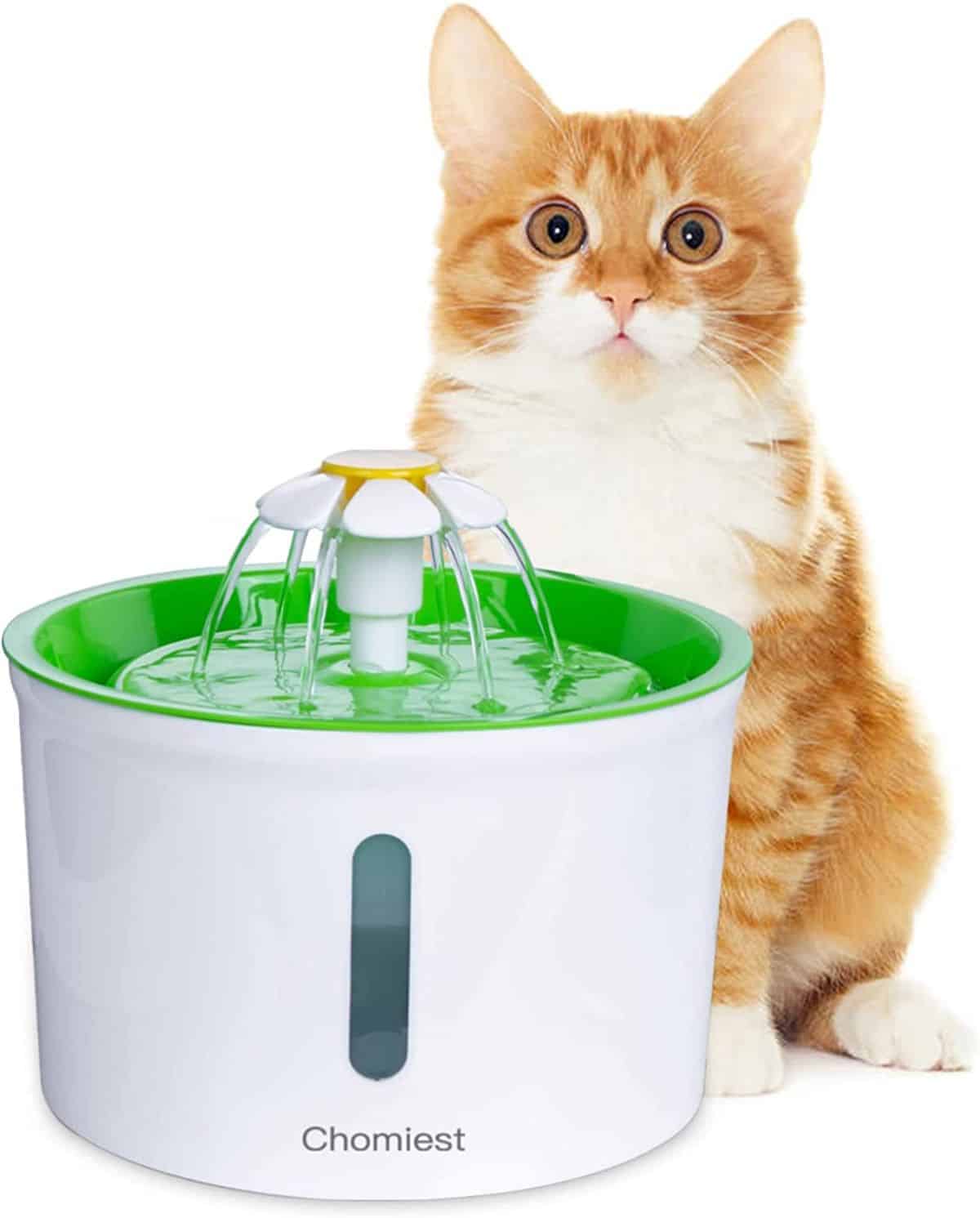 Chomiest cat water fountain.