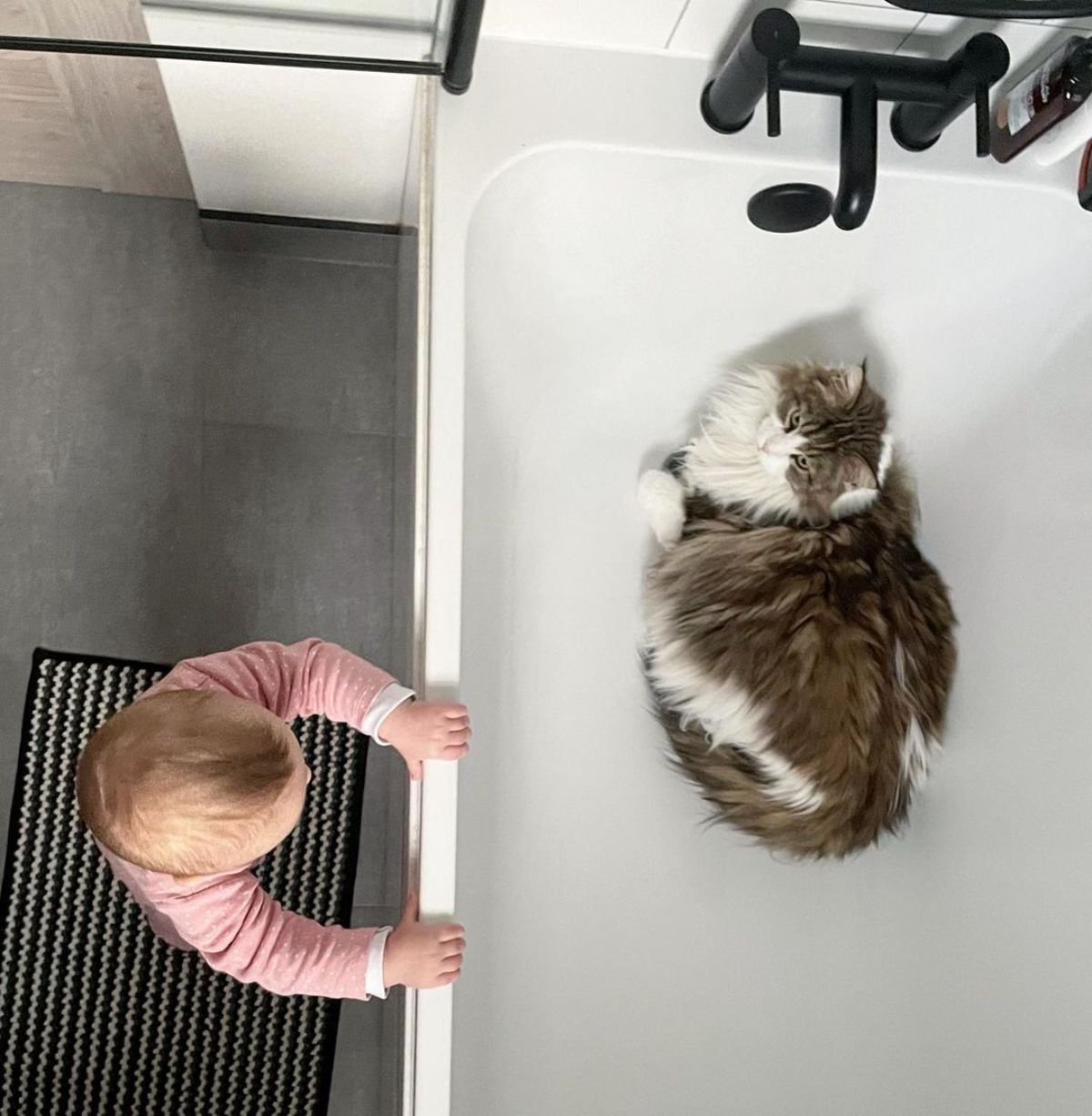 A baby holding the edge of a bathtub with a brown-white maine coon inside.
