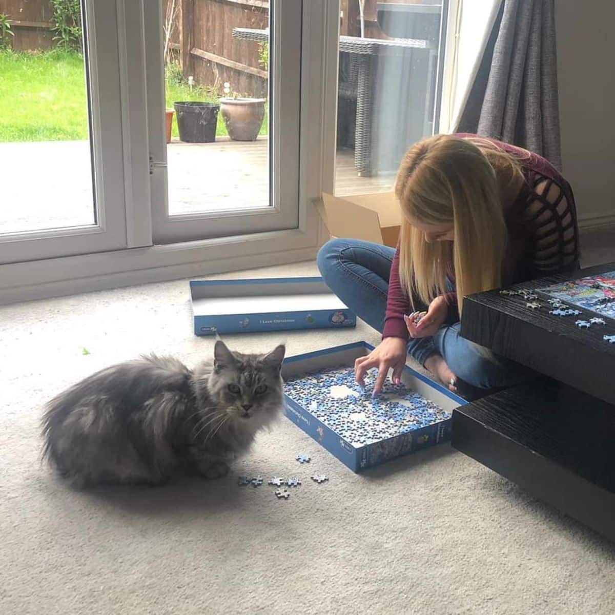 A young woman and a gray maine coon putting a puzzle together.