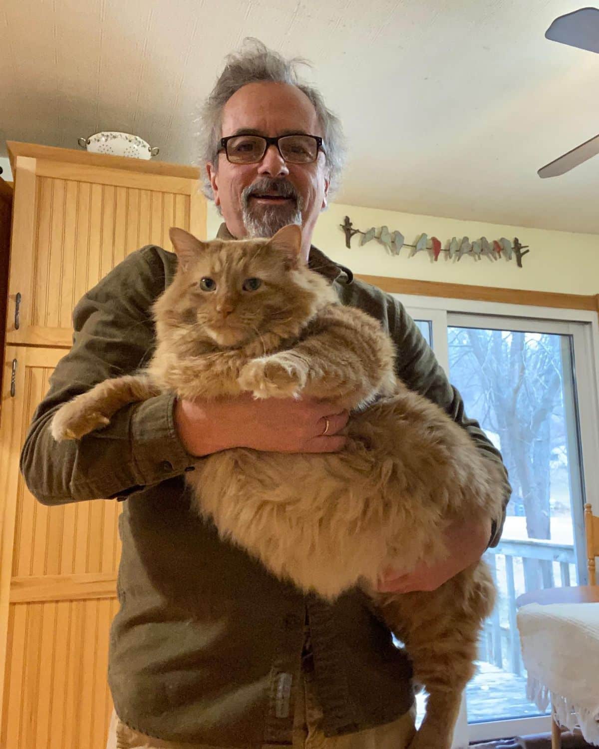 A man holding a huge fluffy red maine coon in his arms.