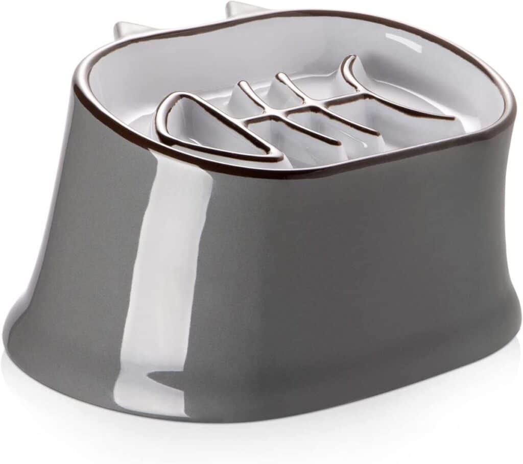 7 Best Food Bowls for Cats (For Messy Eaters)