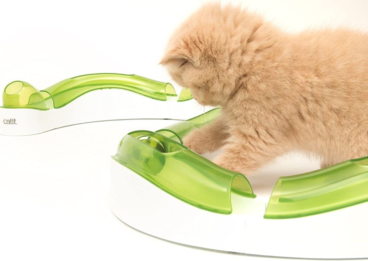 Catit Sense Circuit Toy