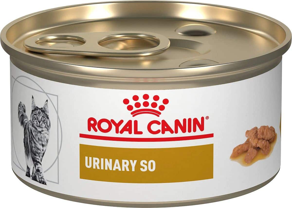 Royal Canin Veterinary Diet - Adult Urinary SO Dry Cat Food