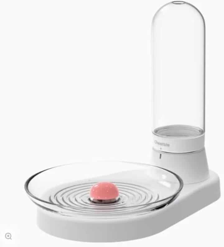 8 Best Water Fountains for Cats (+ Why They're Important)