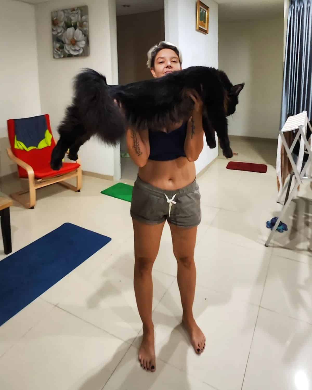 A young woman holding a huge black maine coon.