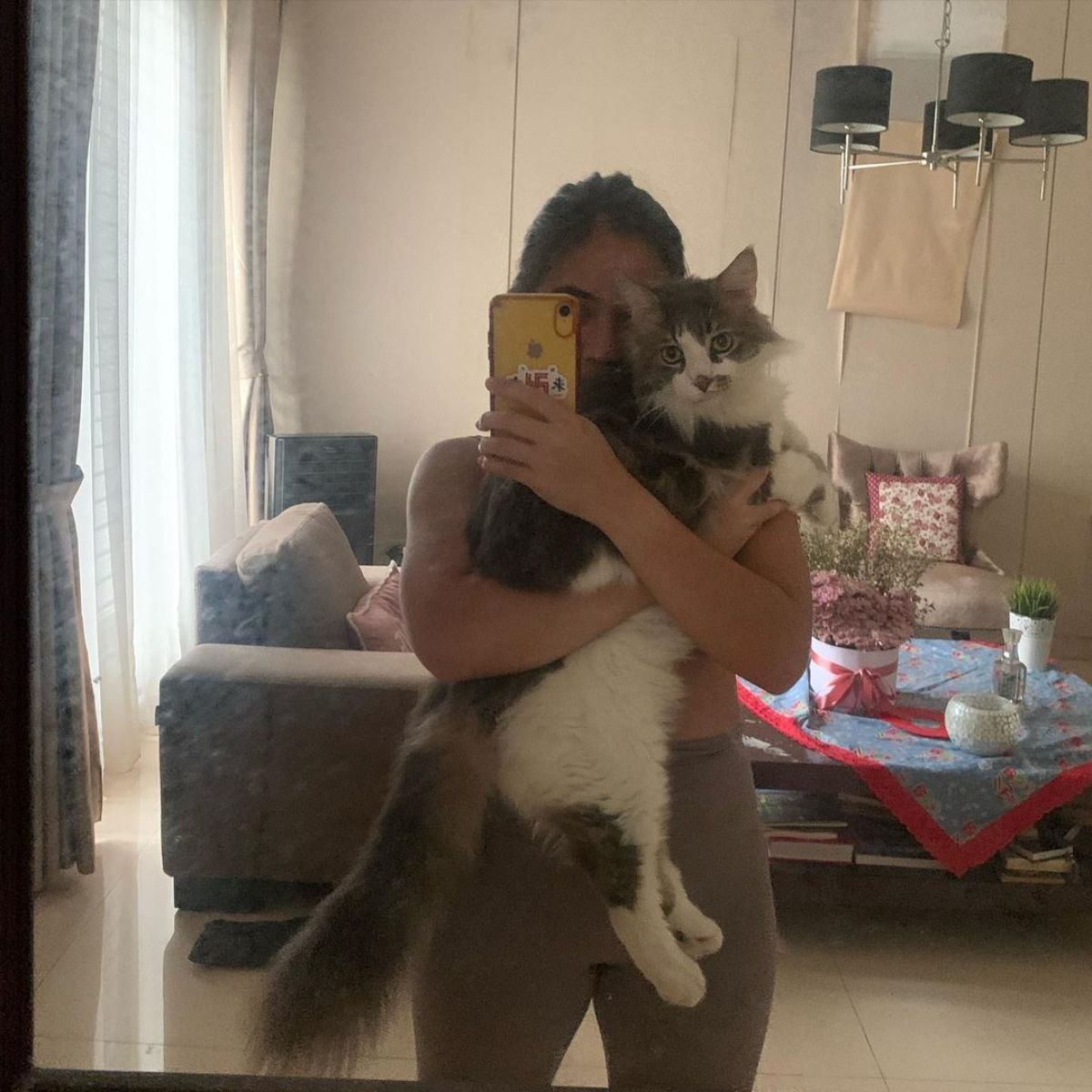 A young woman holding a big maine coon and taking a selfie.