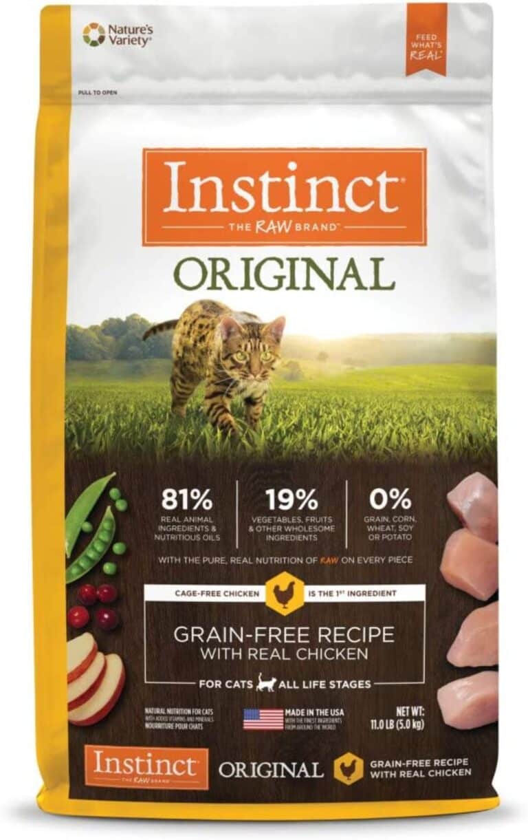 7 Best GrainFree Dry Food for Cats (2023)