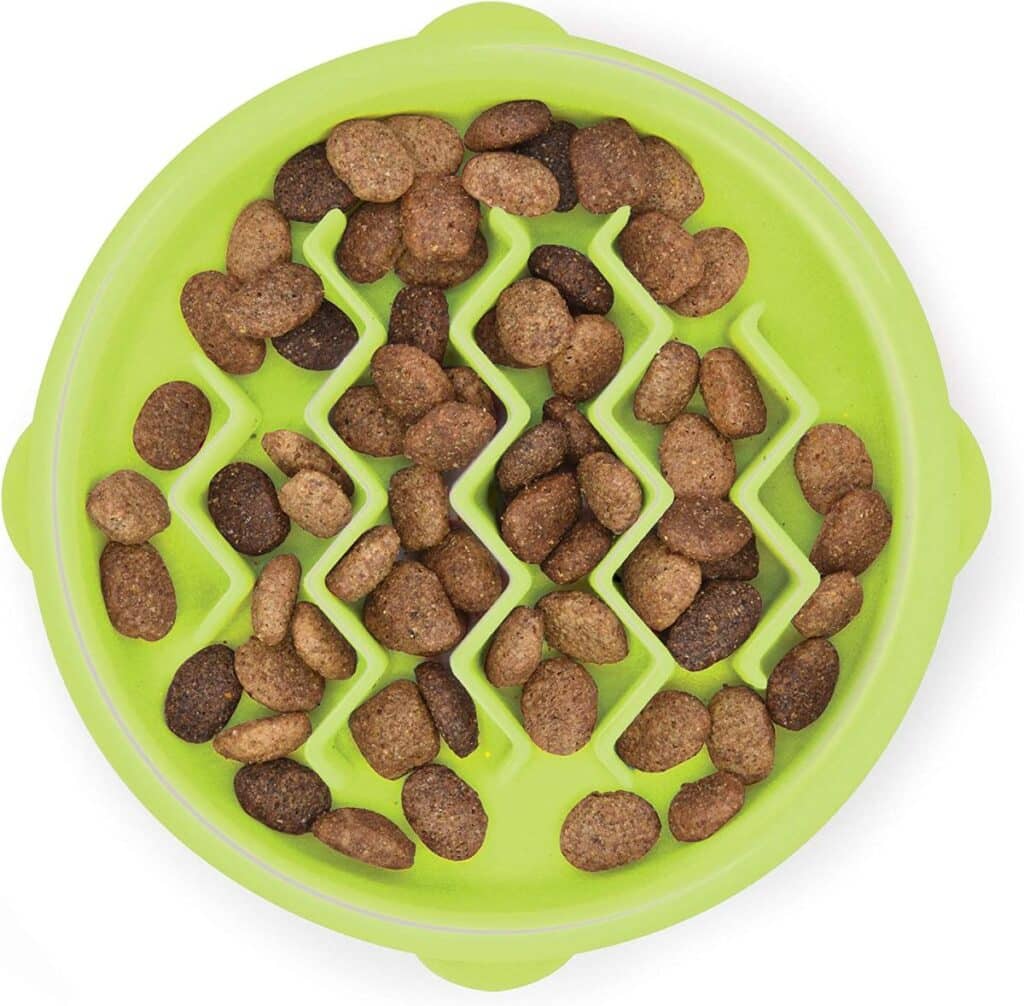 The 7 Best Slow Feeders For Cats (According To Pet Experts)