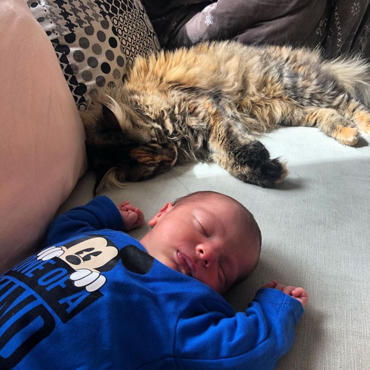A baby and a tabby maine coon sleeping next to each other on a couch.