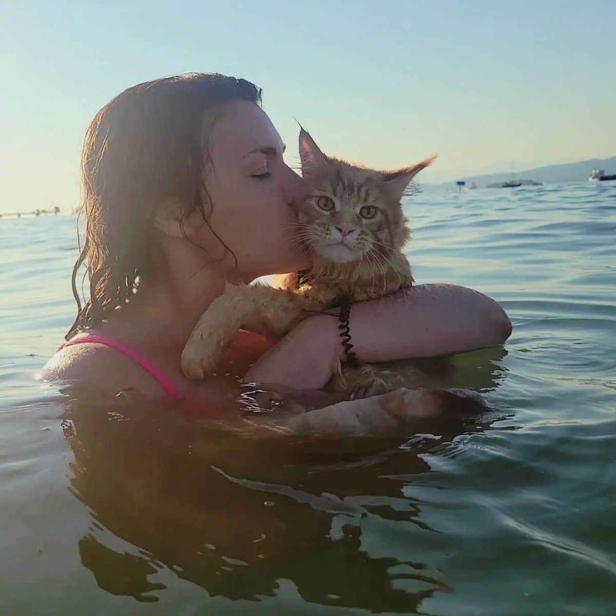 A young woman kissing a ginger maine coon in the water.