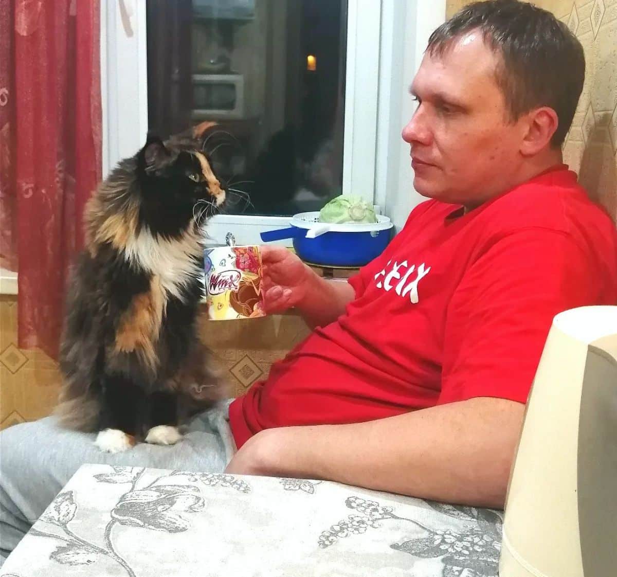 A man drinking his coffee with a calico maine coon sitting on his lap.