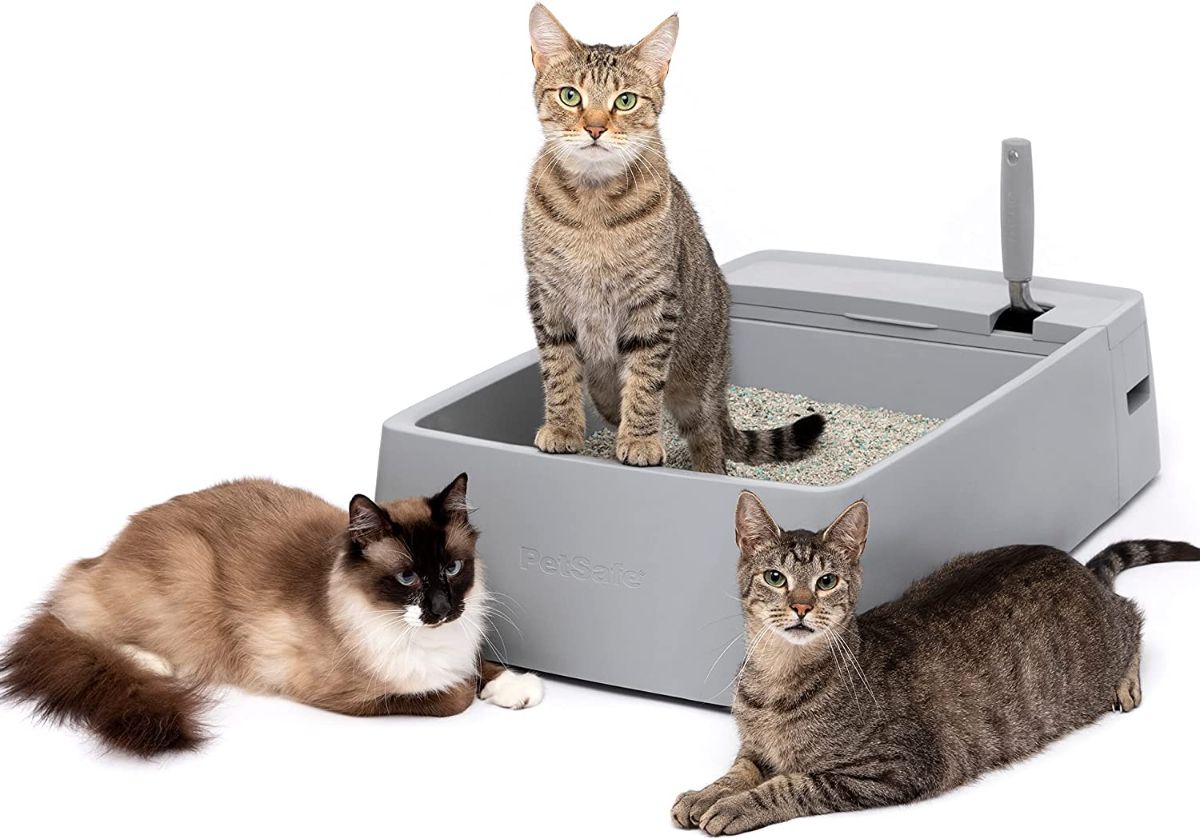 Pet-Safe Multi-Cat Litter Box