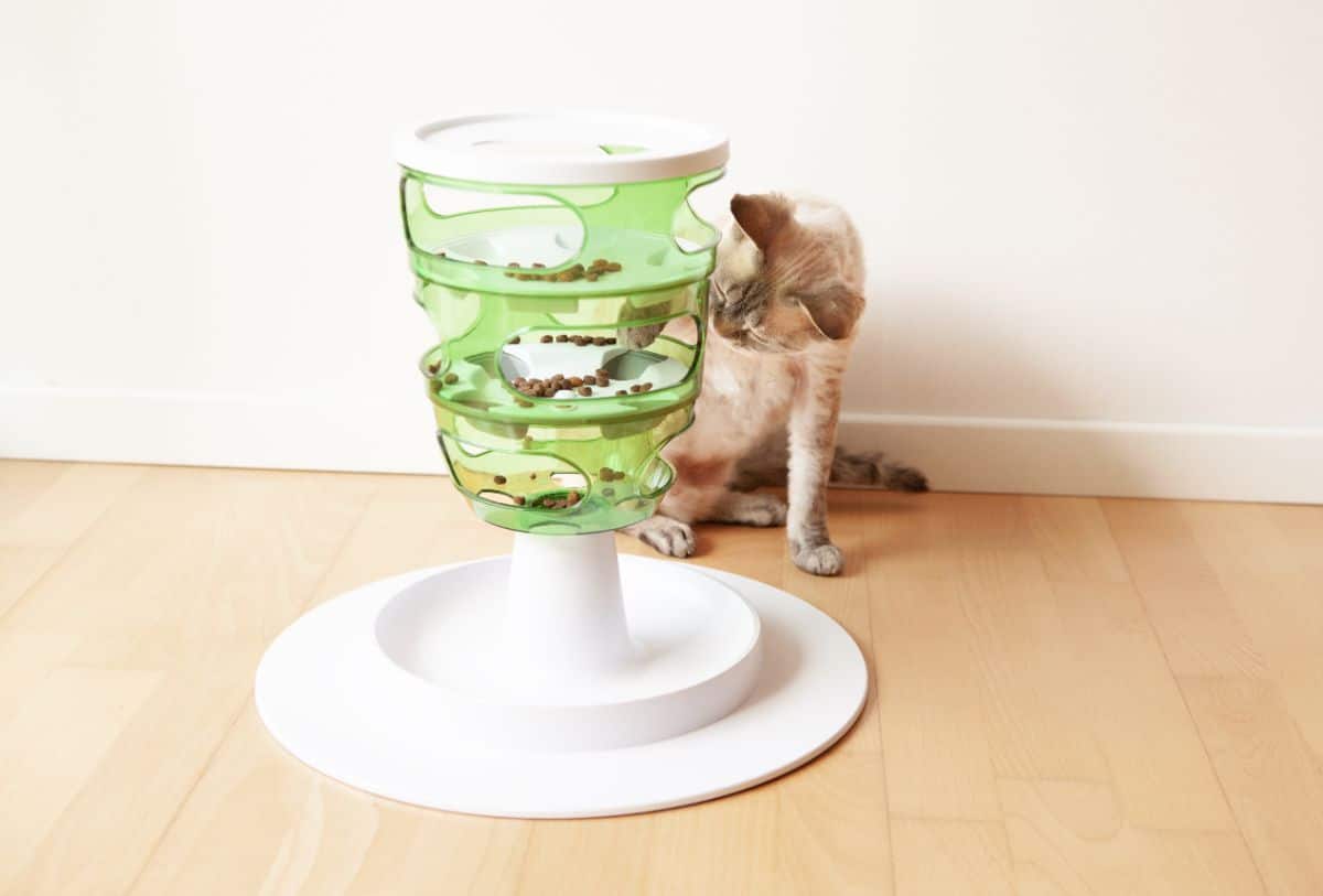 A creamy cat sitting next to a cat slow feeder.