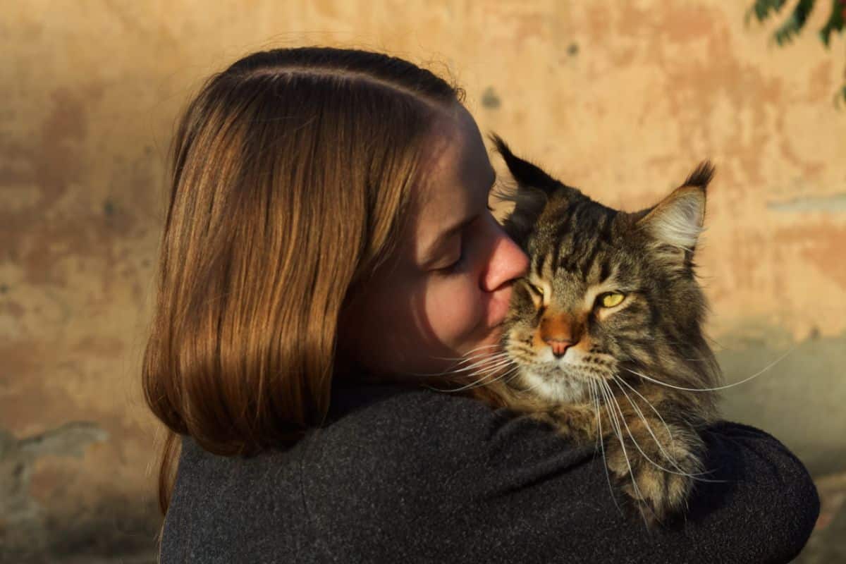 A young woman kissing a tabby maine coon on its cheeck.