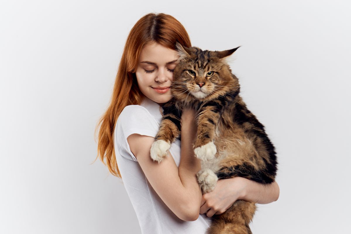 A young woman hugging a tabby maine coon.