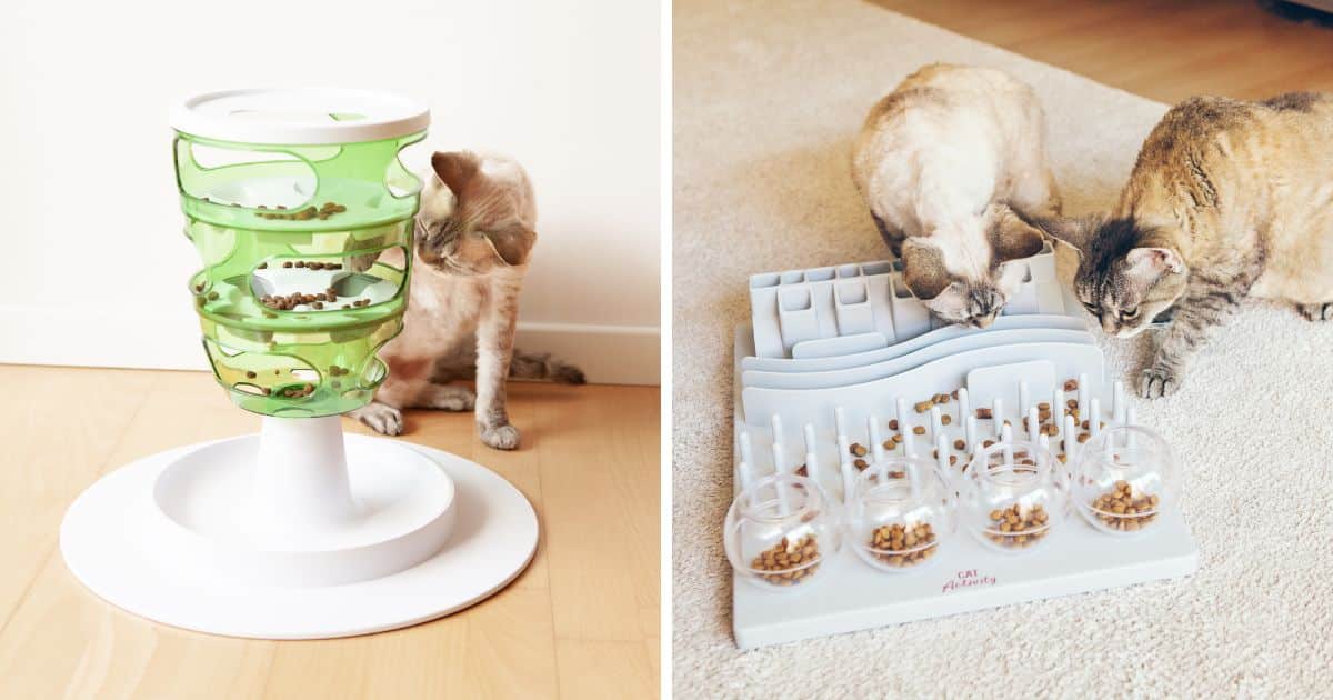The 7 Best Slow Feeders For Cats (According To Pet Experts)